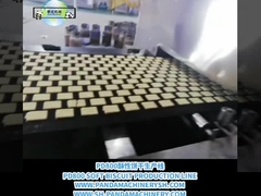 Biskuitlinie von A bis Z Vollautomatische Biskuitverarbeitungslinie 500 kg/h Biskuitenherstellungsgeräte