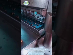 PD1000 vollautomatische Doppelfarbige Keks-Produktion