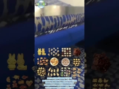 PD1200 ANIMAL SHAPE HARD BISCOIT Produktionslinie