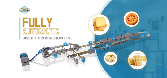 Full Automatic Hard And Soft Biscuit Production Line 500Kg/H Sandwich Chocolate Biscuit Processing Machines Equipment
