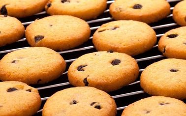 Large Capacity To Small Scale Industrial Gas Baking Tunnel Oven 800MM Width Electric / Gas Tunnel Oven For Baking Cookie