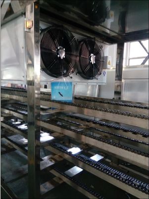 Fruit Juice Gummy Production Line