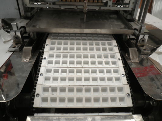Fruit Juice Gummy Production Line